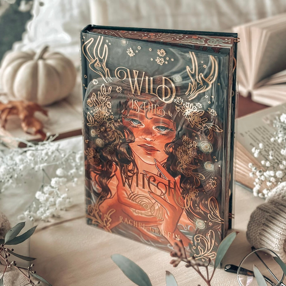 Bookish Box August 2022 YA FULL Box - Wild is discount the Witch by Rachel Griffin