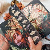 The Spellshop Series (Books 1-3) Special Edition Book Set Preorder