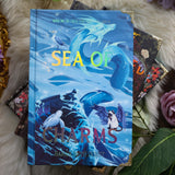 The Spellshop Series (Books 1-3) Special Edition Book Set Preorder