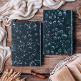 Lux Series (Books 1 & 2) Exclusive Luxe Edition Set