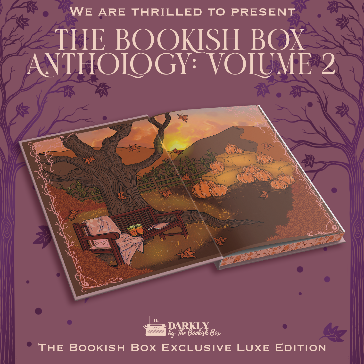 Bookish Box Anthology Volume deals 1