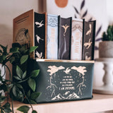 Fourth Wing Inspired Storage Bin Storage Box