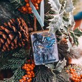 Fourth Wing Inspired Storybook Ornament Home