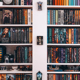 Fourth Wing Inspired Wanderlust Window Home