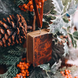 From Blood and Ash Inspired Storybook Ornament Home