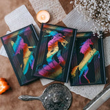 The Kingmaker Chronicles Exclusive Luxe Edition Set - Book