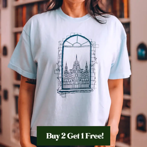 Window to The Glass Palace Heavy Weight Boxy Tee Shirt